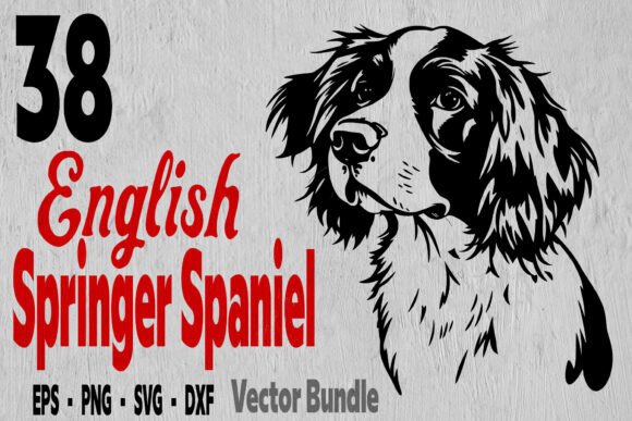 English Springer Spaniel Bundle, Dog Svs